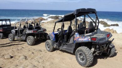 Passeio de Buggy em Porto de Galinhas