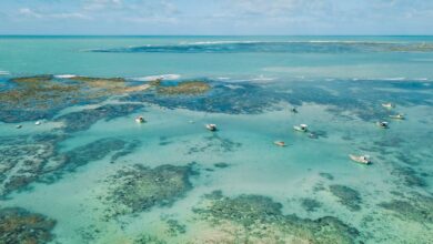Piscinas Naturais em Porto de Galinhas