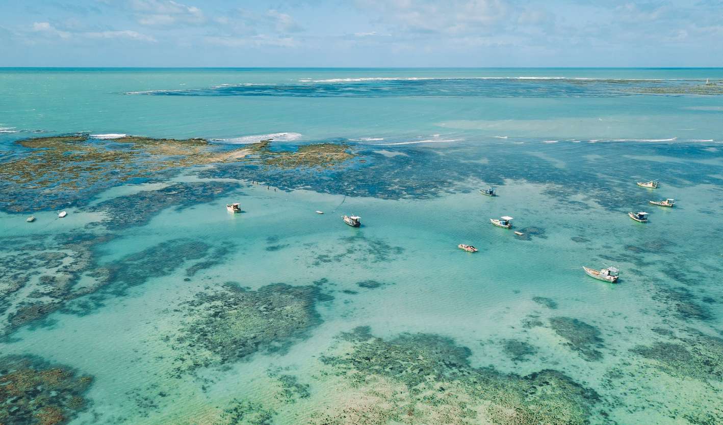 Piscinas Naturais em Porto de Galinhas