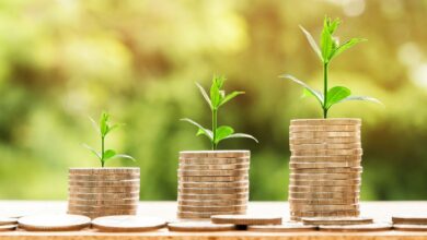 Investimento em CDB Como Funciona