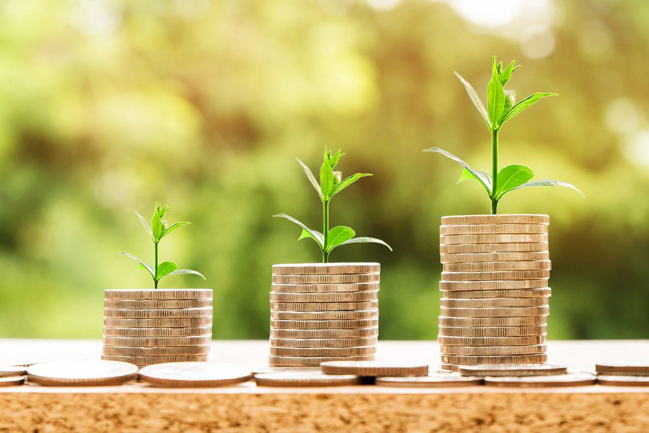 Investimento em CDB Como Funciona Investimento em CDB Como Funciona